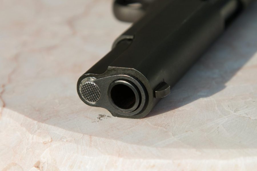 Crime Using Guns and How to Prevent It